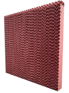 COLMEIAS DIVERSAS MEDIDAS